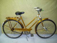 vélo ancien avec du panache - StephaneLapointe.com