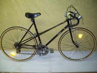 Raleigh Delta bicycle - StephaneLapointe.com
