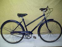 Raleigh Sports bicycle - StephaneLapointe.com