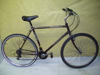 Raleigh Sentinel bicycle - StephaneLapointe.com