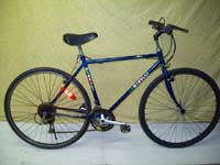 Minelli Mojave bicycle - StephaneLapointe.com
