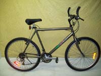 Minelli  bicycle - StephaneLapointe.com