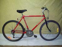 Raleigh Portage bicycle - StephaneLapointe.com