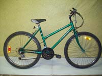 Raleigh Summit bicycle - StephaneLapointe.com