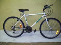 Raleigh Ambush bicycle - StephaneLapointe.com