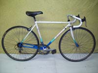 Fiori Roma bicycle - StephaneLapointe.com