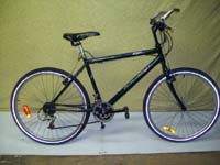 AVP Malamut bicycle - StephaneLapointe.com