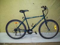 Miele Mercury bicycle - StephaneLapointe.com