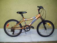 Raleigh Rock bicycle - StephaneLapointe.com