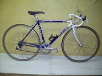 Miele Binova bicycle - StephaneLapointe.com