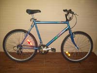 Minelli Mt-Diablo bicycle - StephaneLapointe.com