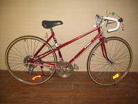 Raleigh Rampar bicycle - StephaneLapointe.com