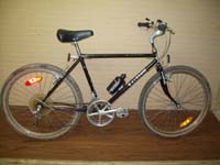 Raleigh Big Horn bicycle - StephaneLapointe.com