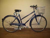 Raleigh Sport bicycle - StephaneLapointe.com