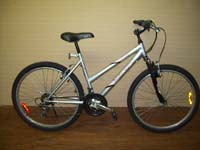 Raleigh Summit bicycle - StephaneLapointe.com