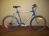 Raleigh Discovery bicycle - StephaneLapointe.com