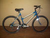 Raleigh Discovery bicycle - StephaneLapointe.com