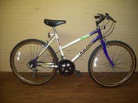 Raleigh Matter Horn bicycle - StephaneLapointe.com