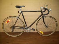 Mikado Randonnée bicycle - StephaneLapointe.com