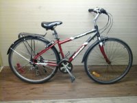 Miele Umbria 100 bicycle - StephaneLapointe.com