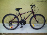 Raleigh Fire Storm bicycle - StephaneLapointe.com