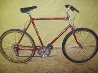 Raleigh Safari bicycle - StephaneLapointe.com