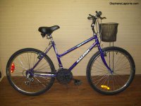 Raleigh Ambush bicycle - StephaneLapointe.com
