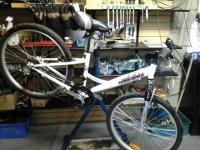 Raleigh Sundowner bicycle - StephaneLapointe.com