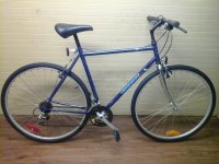 Nishiki Sabre bicycle - StephaneLapointe.com