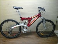 Minelli Robson bicycle - StephaneLapointe.com