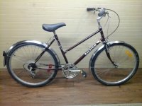 Raleigh Safari bicycle - StephaneLapointe.com