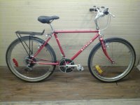 Raleigh Rocky II bicycle - StephaneLapointe.com