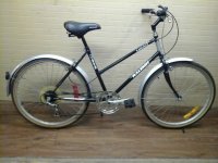 Raleigh Oasis bicycle - StephaneLapointe.com