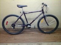 Raleigh Legend bicycle - StephaneLapointe.com