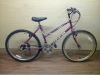 CCM MX500 bicycle - StephaneLapointe.com