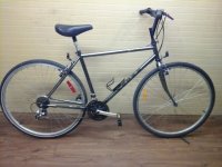 Norco Arctic bicycle - StephaneLapointe.com