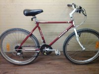 Raleigh Rocky II bicycle - StephaneLapointe.com