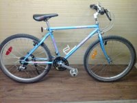 Raleigh Rocky bicycle - StephaneLapointe.com