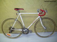Raleigh  bicycle - StephaneLapointe.com