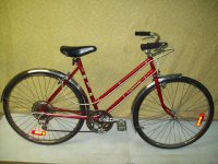 Venture Lightning bicycle - StephaneLapointe.com