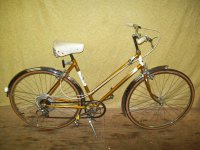 Raleigh Gold bicycle - StephaneLapointe.com