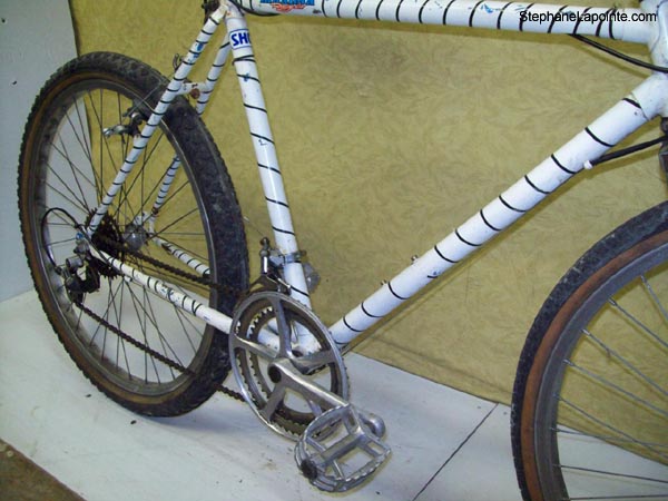 Vélo Raleigh Zebra repainted - StephaneLapointe.com