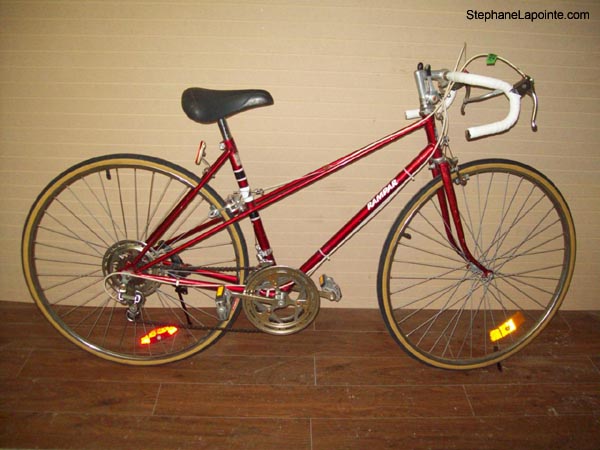 Vélo Raleigh Rampar - StephaneLapointe.com