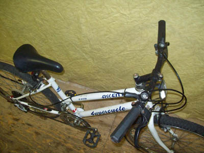 Vélo Supercycle Ascent - StephaneLapointe.com