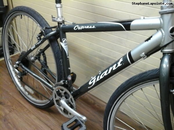 Vélo Giant Cypress - StephaneLapointe.com