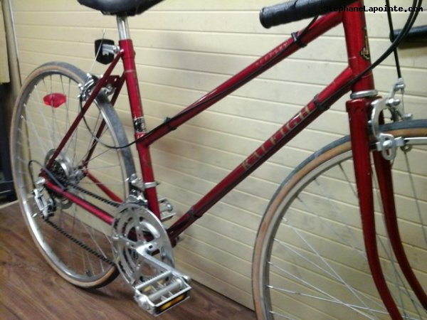 Vélo Raleigh Sceptre - StephaneLapointe.com