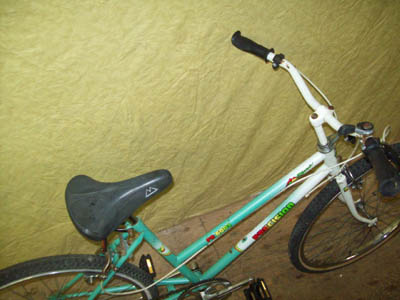 Vélo Precision PR6001 - StephaneLapointe.com