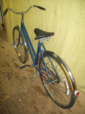 Vélo Raleigh Blue - StephaneLapointe.com