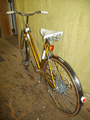 Vélo Raleigh Gold - StephaneLapointe.com